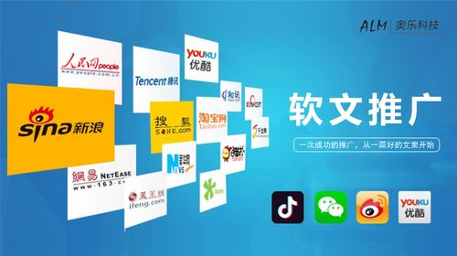 軟文代寫媒體發(fā)布全網(wǎng)營銷軟件開發(fā)ai人工智能